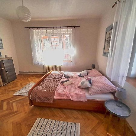 Apartman Isabel Decin Exterior foto